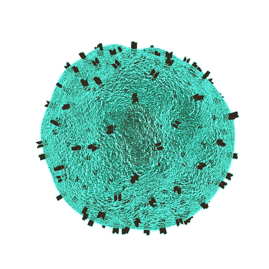 falsches-Positiv-für-HIV-erhalten