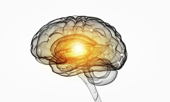 25 beste Gehirnnahrung, die Ihr Gedächtnis verbessern (Bonus)