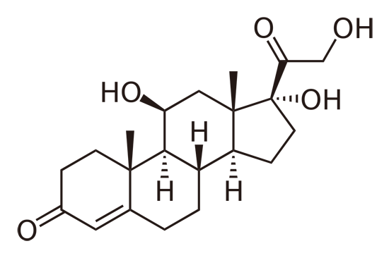 Was ist Cortisol 7 Möglichkeiten, Ihr hohes Cortisol zu senken