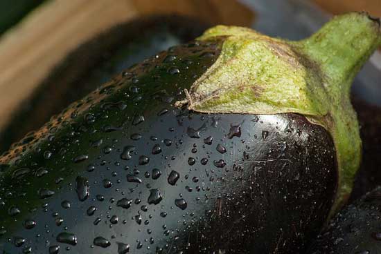 11 gesunde Ernährung Wirkung von Auberginen (Kalorien und Vitamine