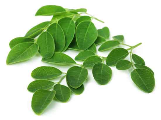 15 gesunde Ernährung Wirkung von Moringa Oleifera (und Tee)