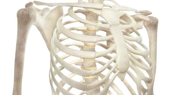 6 Ursachen für einen unebenen Brustkorb und wie man ihn repariert