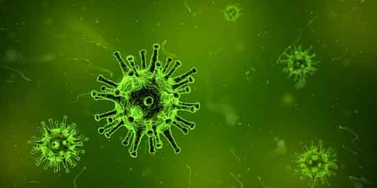 7 Arten von Viruserkrankungen und deren Behandlung
