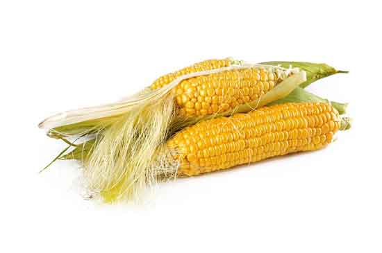 Mais ungesund 13 gesunde Ernährungswirkung von Maisgemüse