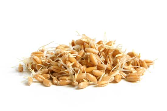 Top 11 gesunde Ernährung Wirkung von Weizenkeimen müssen Sie wissen!