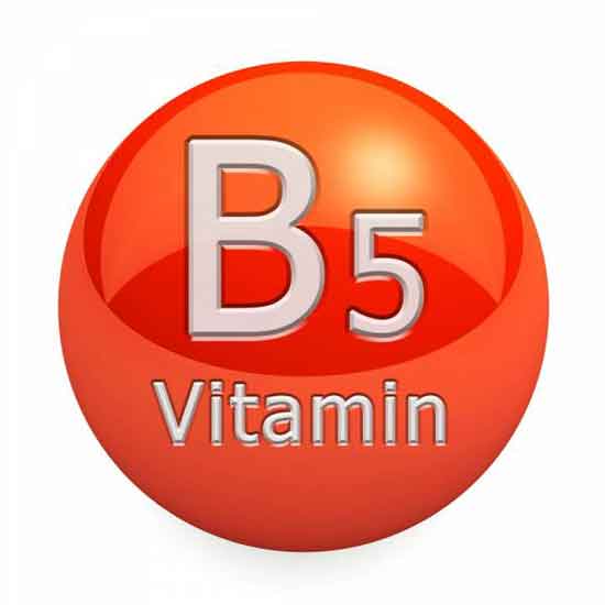 Was ist Pantothensäure (Vitamin B5) 11 gesunde Wirkung