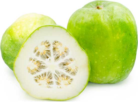 Wintermelone (Wachskürbis) 11 erstaunliche gesunde Effekte!
