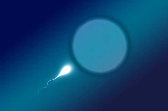 Du hast falsches Wissen über Sperma! (12 Fakten)