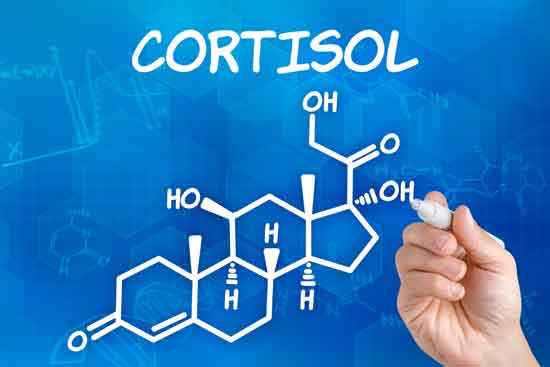 Hohe Cortisol-Symptome
