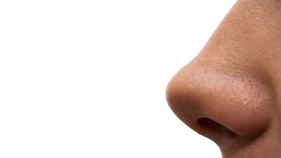 Maulwurf auf der Nase - ist es Krebs (wie zu entfernen)