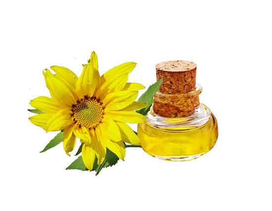 Sonnenblumenöl gesunde Wirkung und Nebenwirkungen