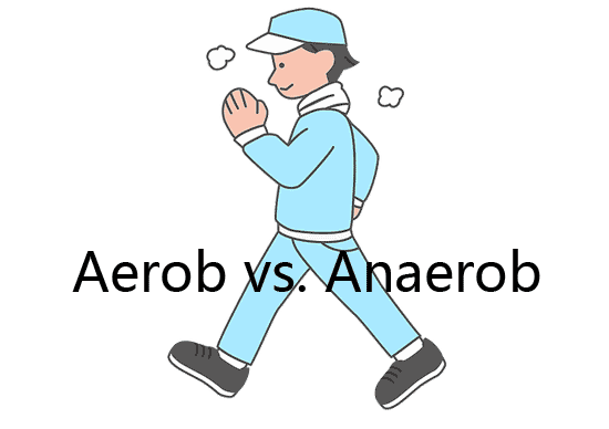Unterschied zwischen aerob und anaerob (Nutzen und Risiko)