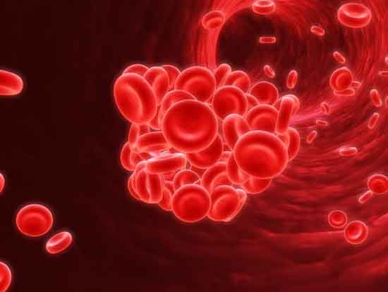 natürliche Blutverdünner verhindern Thrombenbildung