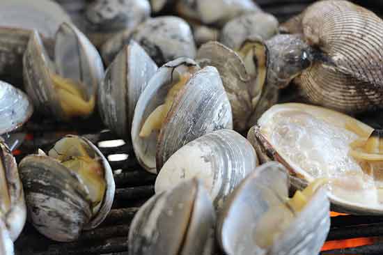 Was sind Venusmuscheln 9 Gründe zu essen!