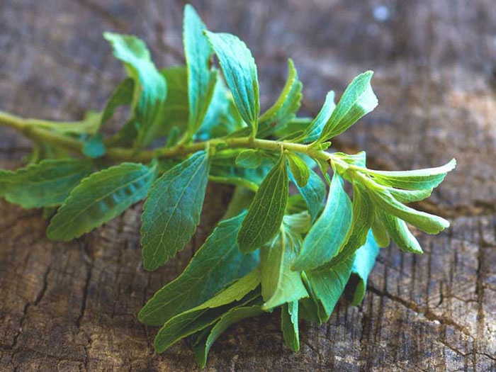 Stevia Nebenwirkungen, Nutzen, Wirkung, wie man sie anwendet