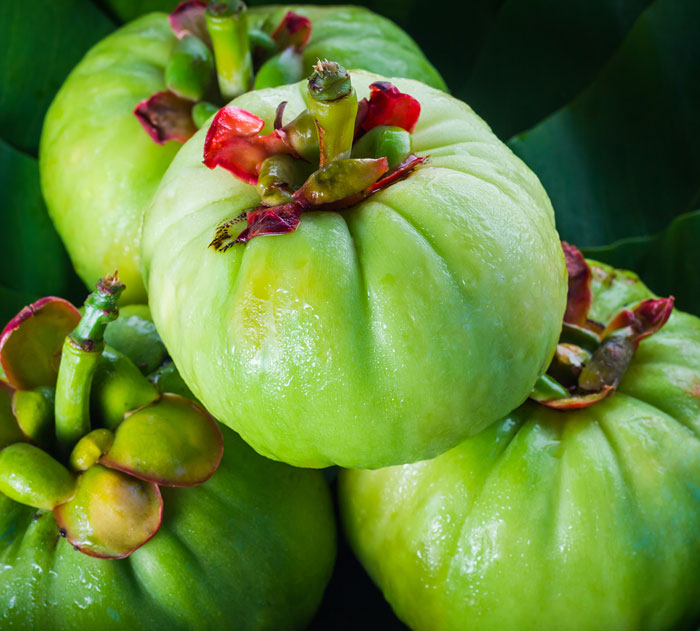 Garcinia Cambogia Effekte, Nebenwirkungen, Dosierung