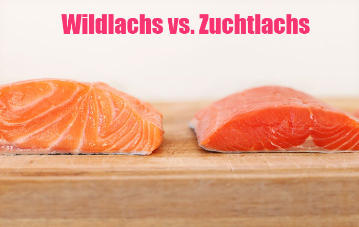 Wildlachs vs. Zuchtlachs Welche Lachsart ist gesünder