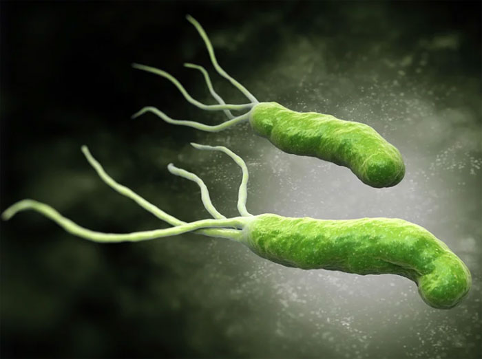 H. Pylori Bakterien Infektion Ursachen, Symptome und Behandlung