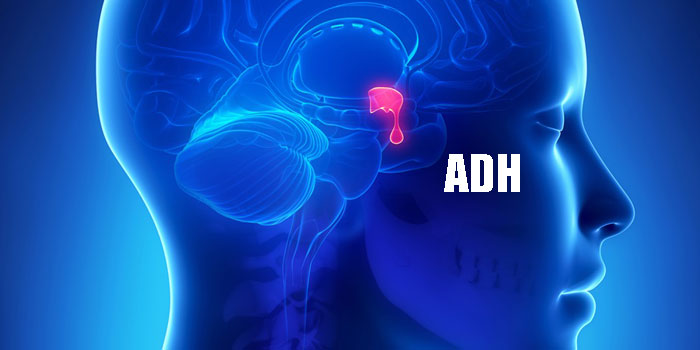 Unangemessenes antidiuretisches Hormon (abnormale ADH) - Ursachen, Symptome, Behandlung