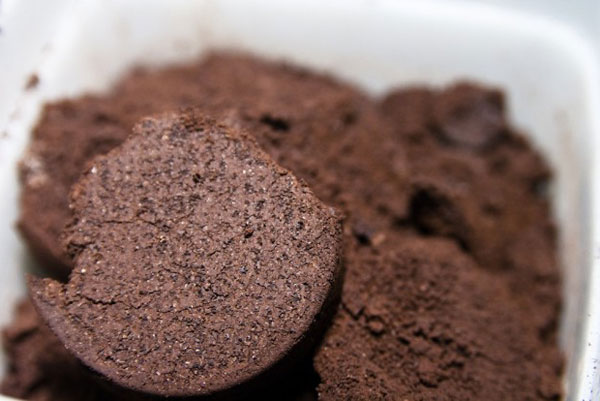 16 Kreative Anwendungen für gebrauchte Kaffeepflanzen