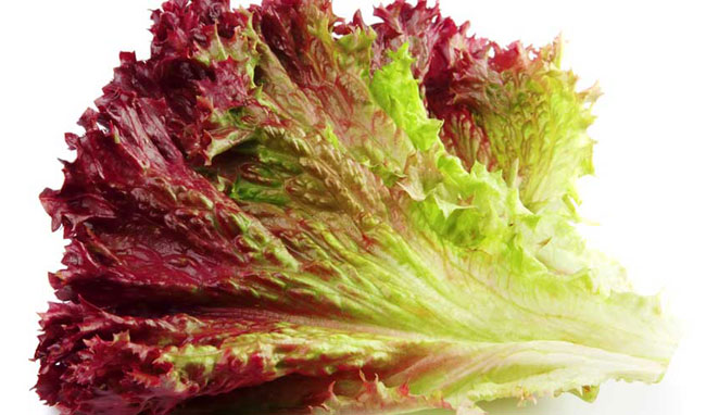 9 Gesundheit und Ernährungsvorteile von Rotem Blattsalat