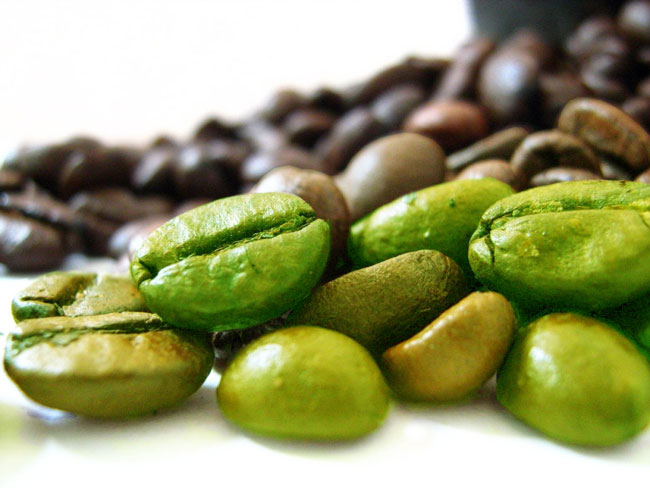Grüne Kaffeebohne Extrakt Überprüfung Gewichtsverlust Tatsache oder Betrug