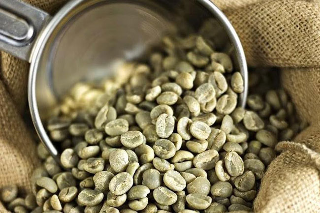 Grüner Kaffee Vorteile, Gewichtsabnahme und Nebenwirkungen