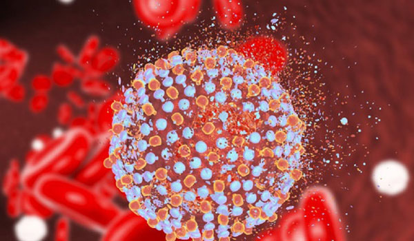 Hepatitis C Symptome, Behandlung, Tests & mehr