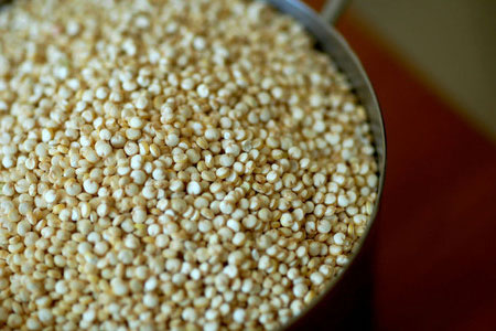 Ist Quinoa glutenfrei Die überraschende Wahrheit