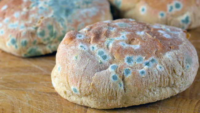 Ist es sicher, schimmeliges Brot zu essen