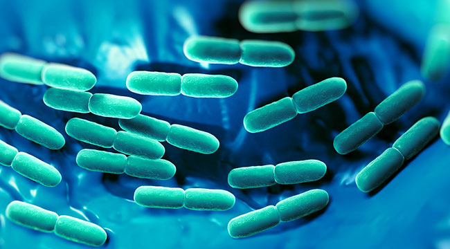 Lactobacillus rhamnosus Vorteile, Nebenwirkungen und Dosierung