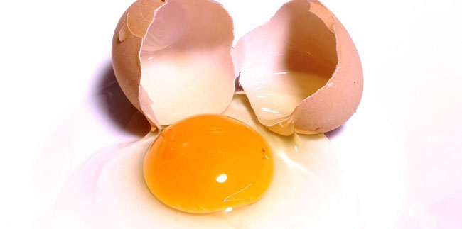 Warum sind Eier gut für dich Das Ei kann eine Herzerkrankung verursachen